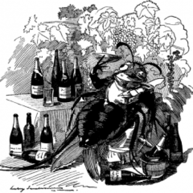 Vignetta del settimanale britannico Punch, 6 settembre 1890